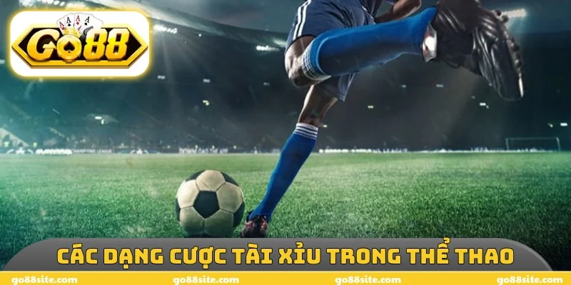 Các dạng cược tài xỉu trong thể thao
