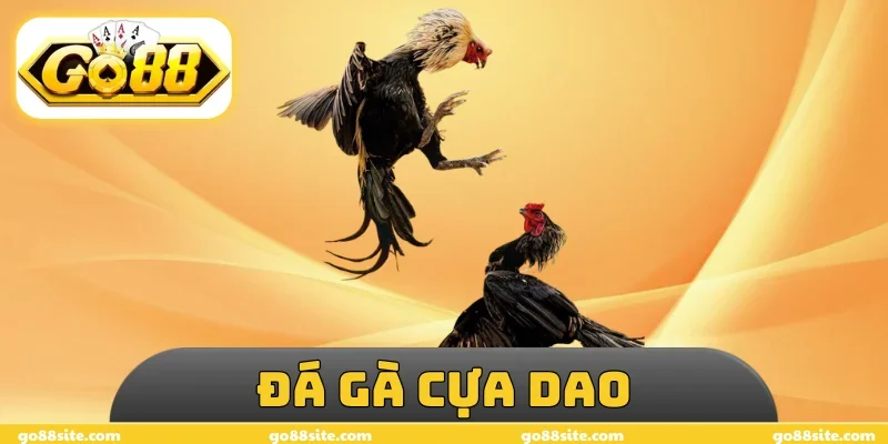 Đá Gà Cựa Dao