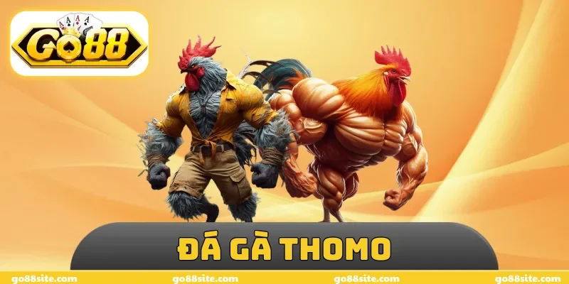 Đá Gà Thomo