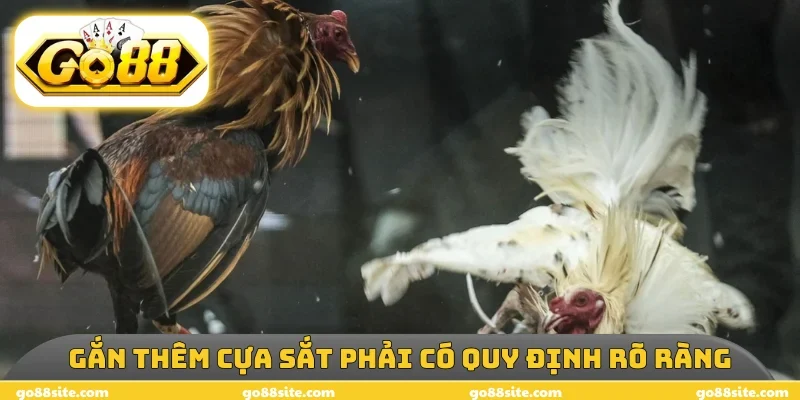 Gắn thêm cựa sắt phải có quy định rõ ràng