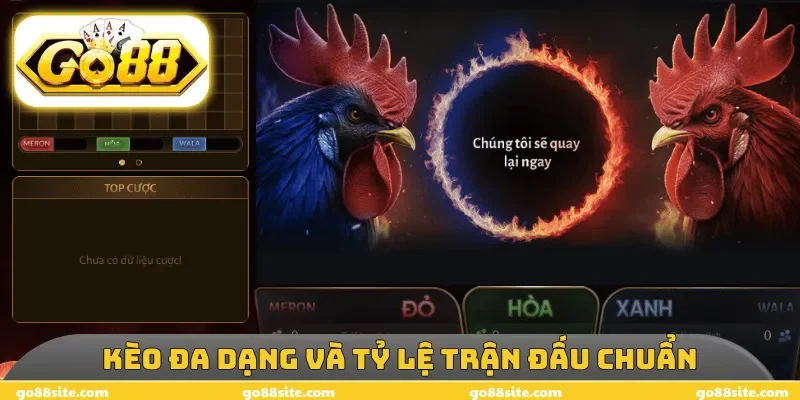 Kèo đa dạng và tỷ lệ trận đấu chuẩn