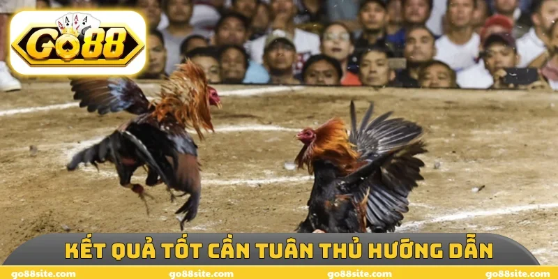Kết quả tốt cần tuân thủ hướng dẫn