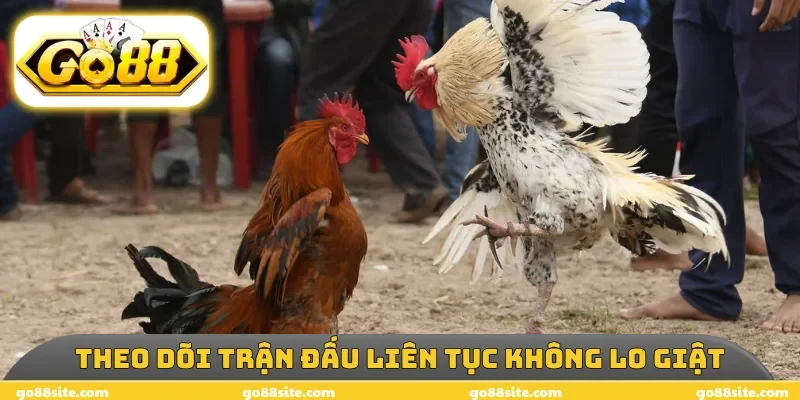 Theo dõi trận đấu liên tục không lo giật